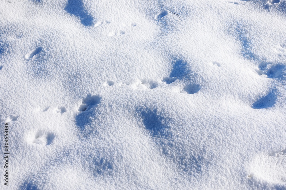 Obraz premium White snow on the ground