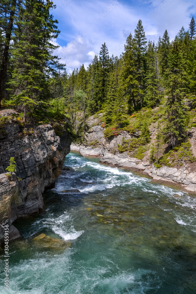 A strong current flows through the river that weaves around the rocky canyon surrounded by a dense pine forest. The trees grow out from the rocky edges the clear water below on a partially cloudy day. A strong current flows through the river that weaves around the rocky canyon surrounded by a dense pine forest. The trees grow out from the rocky edges the clear water below on a partially cloudy day.