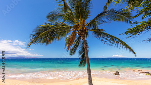Coconut palm tree  turquoise Sea and White sandy beach