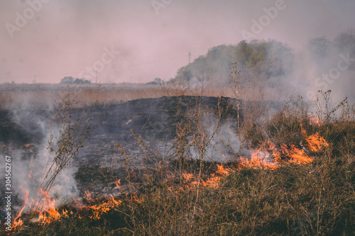 Dry grass on farm fields in flames. These man made fires are dangerous to the environment. © Branimir