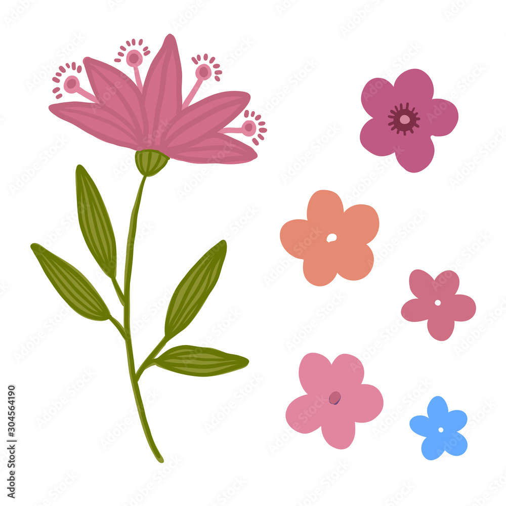 Floral vector pack. Decorative isolated flowers.