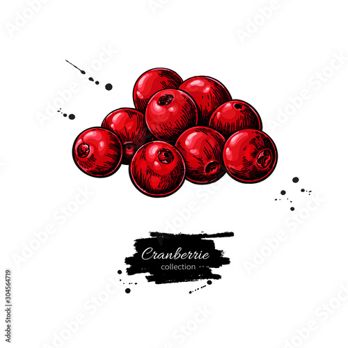 Cranberry vector drawing. Isolated berry heap sketch on white background.