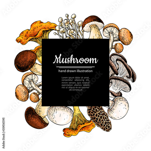 Mushroom hand drawn vector frame. Isolated Sketch organic food drawing template.