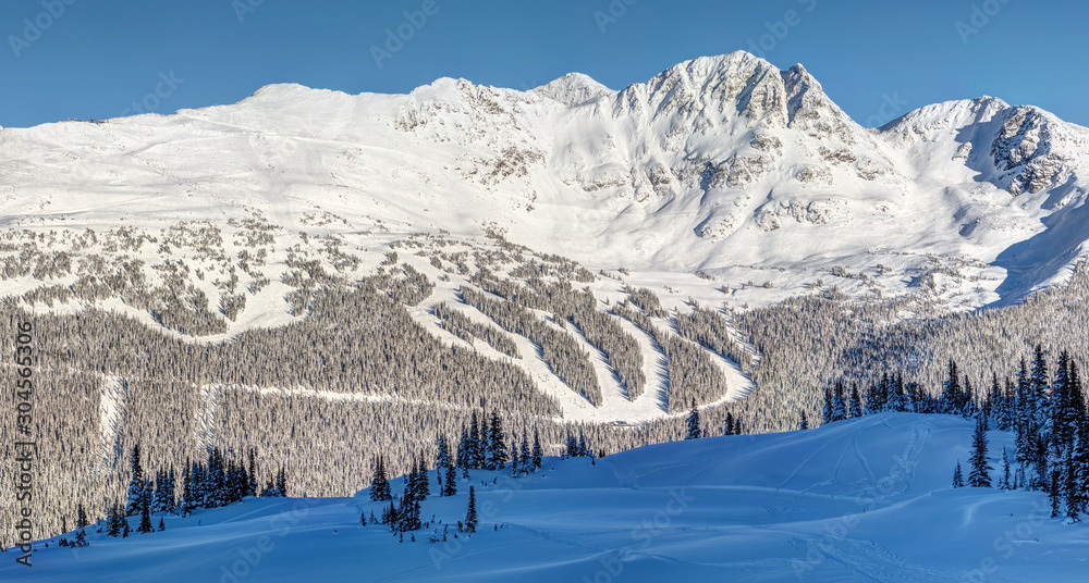 Seventh Heaven  on Blackcomb Mountain view from Whistler in Winter - obrazy, fototapety, plakaty 