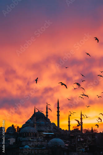 Istanbul and sunset view on Suleymaniye mosque, Turkey © develi