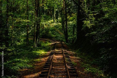 Train Track in the woods