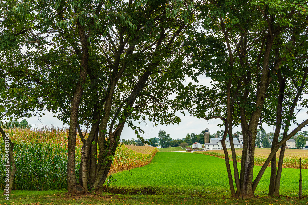 Amish country farm barn field agriculture in Lancaster, PA US Amish country farm barn field agriculture in Lancaster, PA US