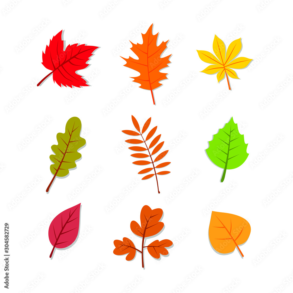 Fototapeta premium Autumn Fall Leaves Illustration Vector