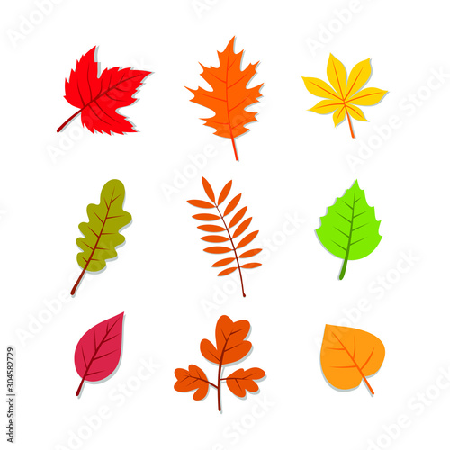 Autumn Fall Leaves Illustration Vector