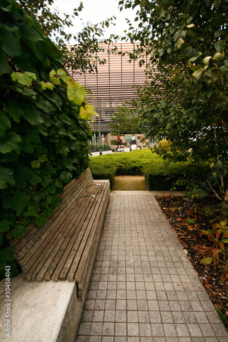 Fototapeta Naklejka Na Ścianę i Meble -  University Garden