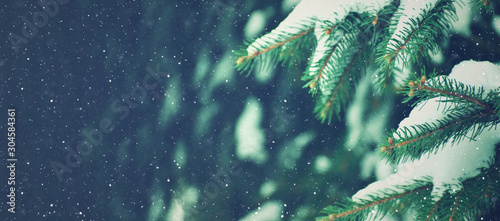 Winter Holiday Evergreen Christmas Tree Pine Branches Covered With Snow and Falling Snowflakes, Horizontal
