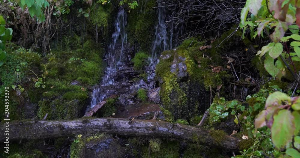 Pan to the left of a log laying over rocks of a small waterfall in dense green foliage Pan to the left of a log laying over rocks of a small waterfall in dense green foliage