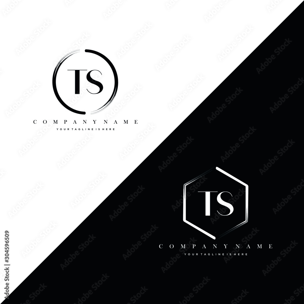 Initial Letter TS Circle Brush & Hexagon Brush Logo Template Vector ...