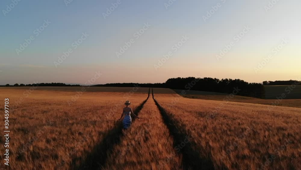 Aerial view of happy young woman in dress running in slow motion through field touching with hand wheat, female tourist enjoying freedom on rural nature in summer during vacations holidays at sunset Aerial view of happy young woman in dress running in slow motion through field touching with hand wheat, female tourist enjoying freedom on rural nature in summer during vacations holidays at sunset