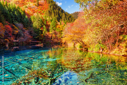 Colorful fall woods reflected in the Five Flower Lake