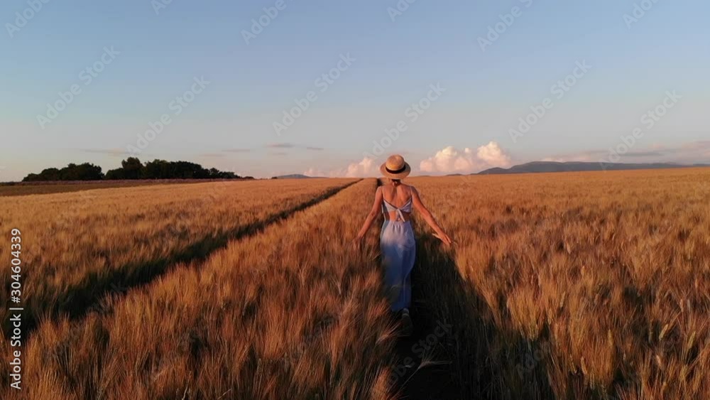 Rear view of young carefree woman in dress walking in slow motion through field touching with hand wheat ears,female tourist enjoying freedom and calmness on rural nature in summer. Vacations holidays