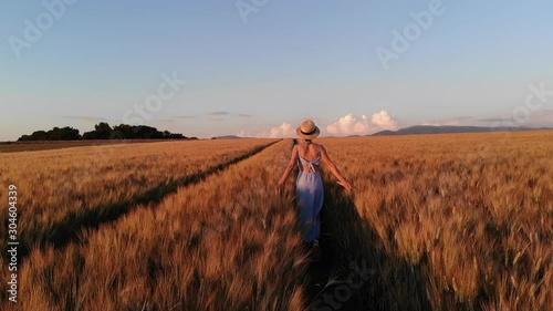 Rear view of young carefree woman in dress walking in slow motion through field touching with hand wheat ears,female tourist enjoying freedom and calmness on rural nature in summer. Vacations holidays photo