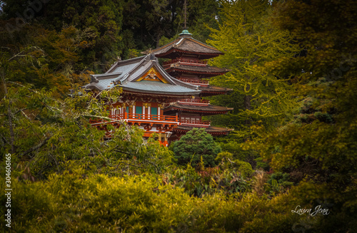Japanese Pagoda in the trees