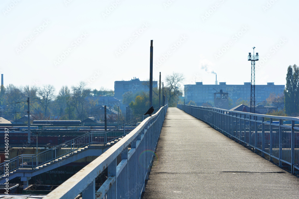 A black lone raven sits on the railing of a gray reinforced concrete bridge over a junction of railways and freight trains lit by a bright sun with a blue sky.