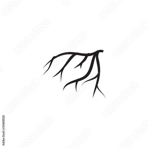 Root icon design template vecor isolated illustration