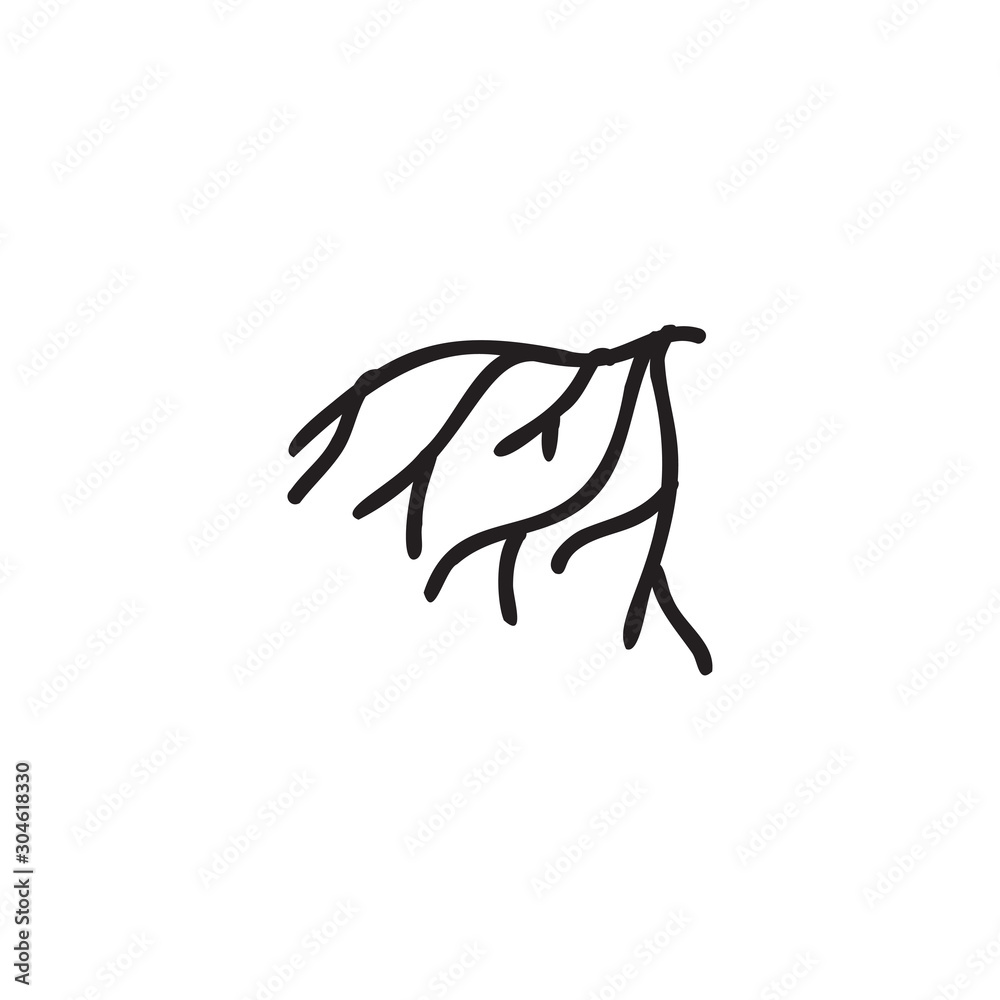 Root icon design template vecor isolated illustration Root icon design template vecor isolated illustration