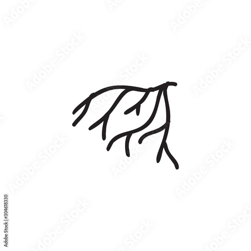 Root icon design template vecor isolated illustration