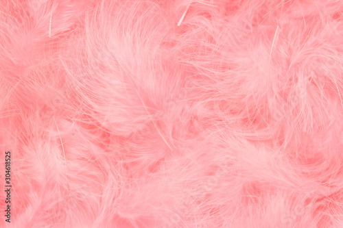 Beautiful coral pink trendy feather texture background. Soft and gentle pattern. Bohemian boho style.