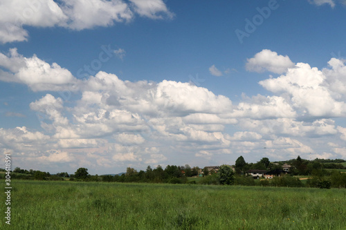 Obraz na płótnie Fields w salonie