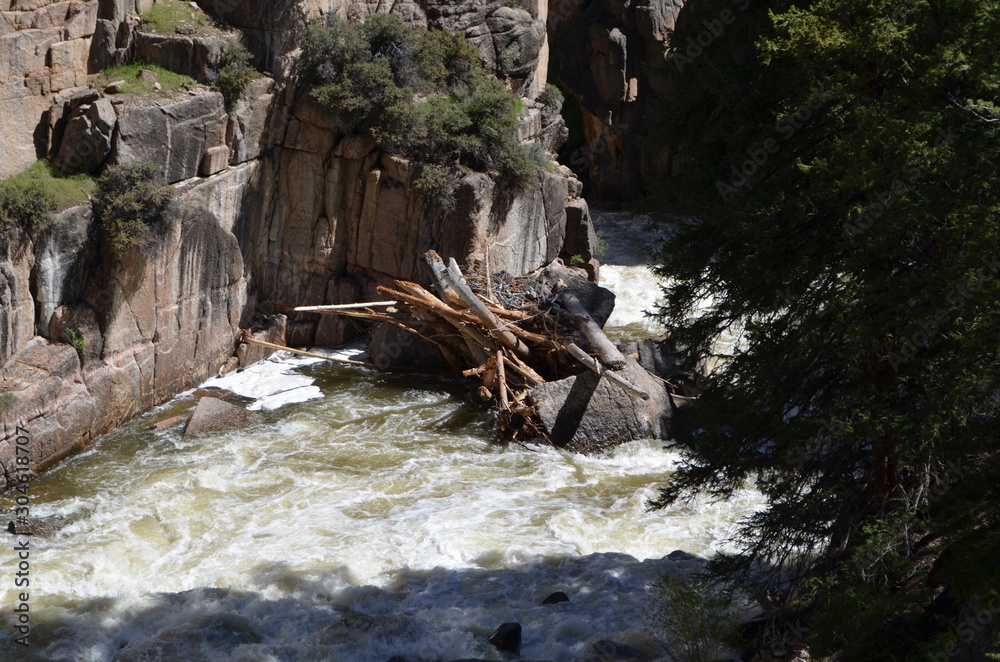 Fototapeta premium Late Spring in Wyoming: Debris Piled up in Shell Creek in the Bighorn Mountains