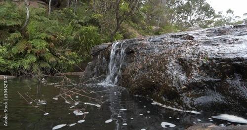 Carrington Falls ferns small waterfall nellies Glen photo