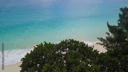 Flying behind trees to the ocean Seychelles island 4K © Andrey