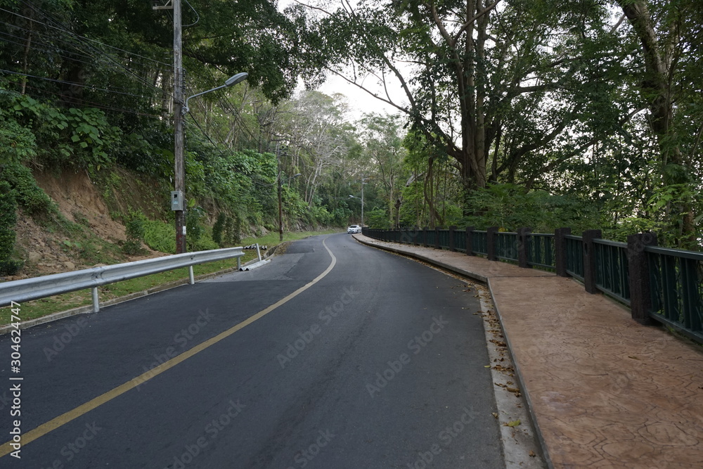 Obraz premium asphalt road in the forest