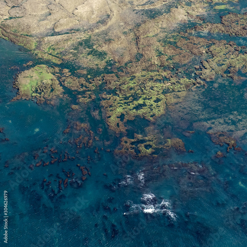 Fototapeta Naklejka Na Ścianę i Meble -  vue aérienne de fonds marins rocheux sur l'île d'Oléron en France