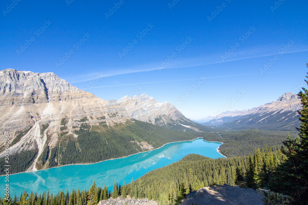 ペイト氷河（Peyto Glacier）