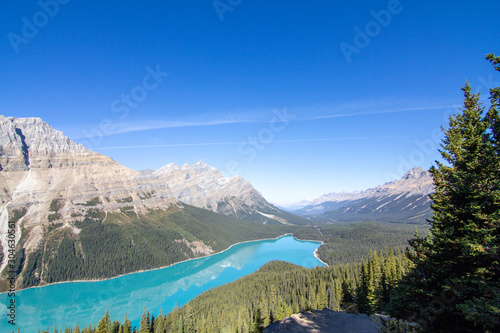 ペイト氷河（Peyto Glacier）