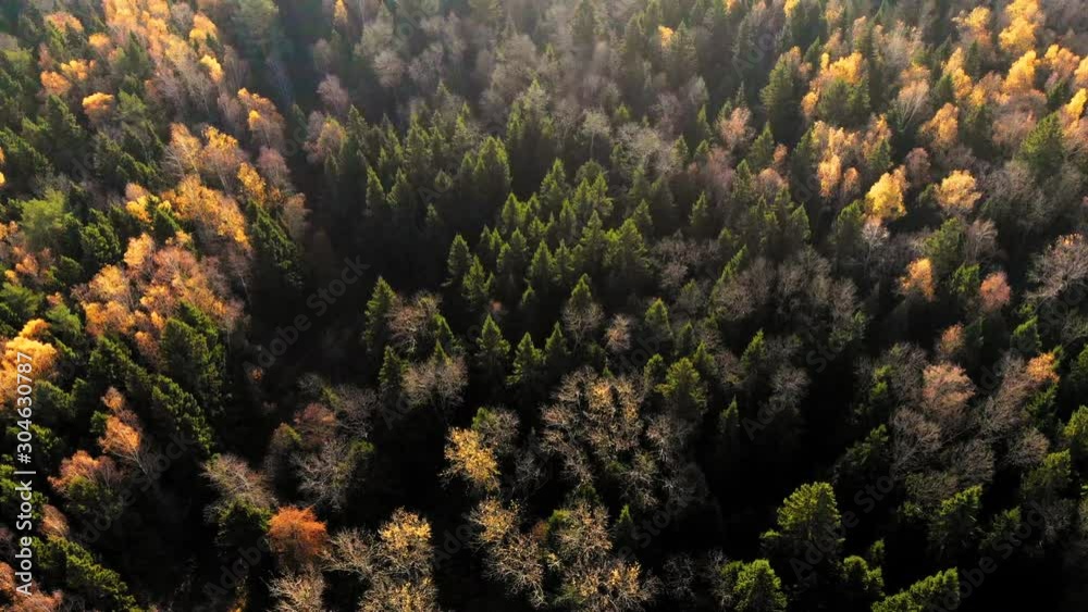 Amazing landscape with yellow autumn forest and morning light. Amazing sunrise. National nature park. Biosphere reserve. Ecological protection area. Trekking destination