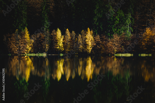 Autumn landscape at the edge of the Saint Ana Lake