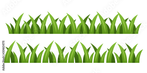 Green grass vector isolated illustration