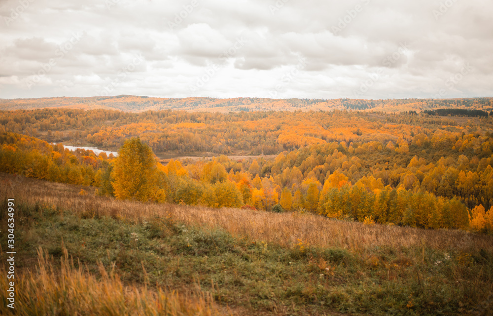 autumn. yellow bright trees in autumn. beautiful autumn landscape.