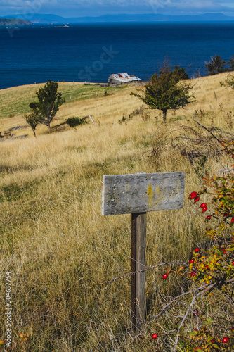 Summer meadow with typical Tasmanian landscape overlooking bruny island. A wooden signboard in the foreground
