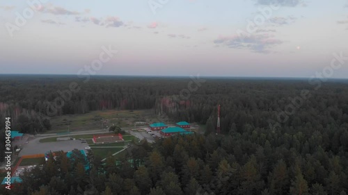 Forest, pines, sunset, aerial video