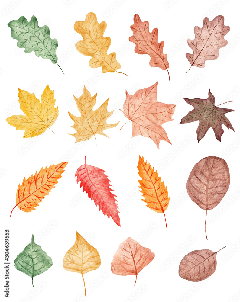 Obraz premium Autumn leaves