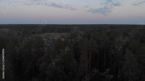 Forest, pines, sunset, aerial video