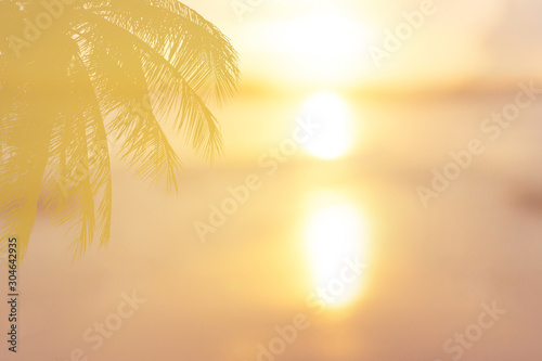 Fototapeta Naklejka Na Ścianę i Meble -  tropical palm tree and sunset summer background