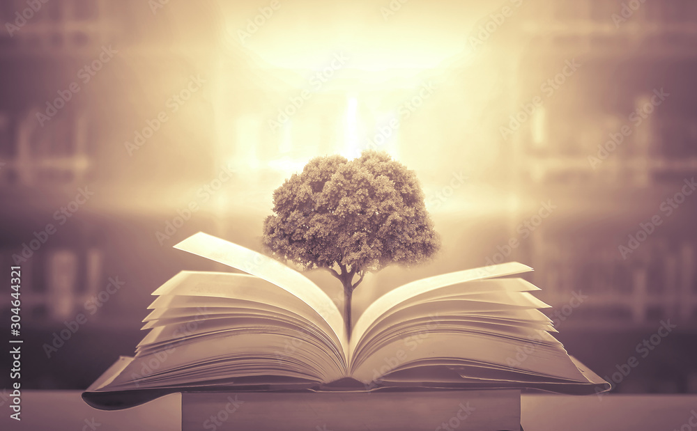 The concept of education by planting a tree of knowledge in the opening ...