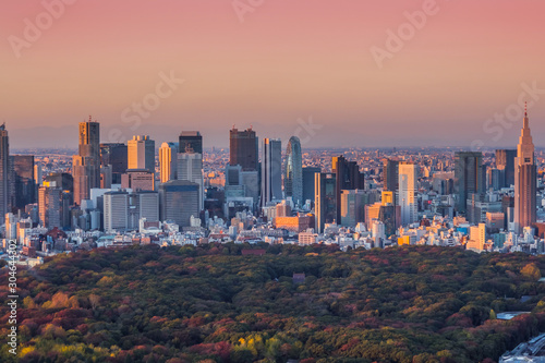 日本 東京 高層ビルのある風景 typical sight of Tokyo, Japan © norikko