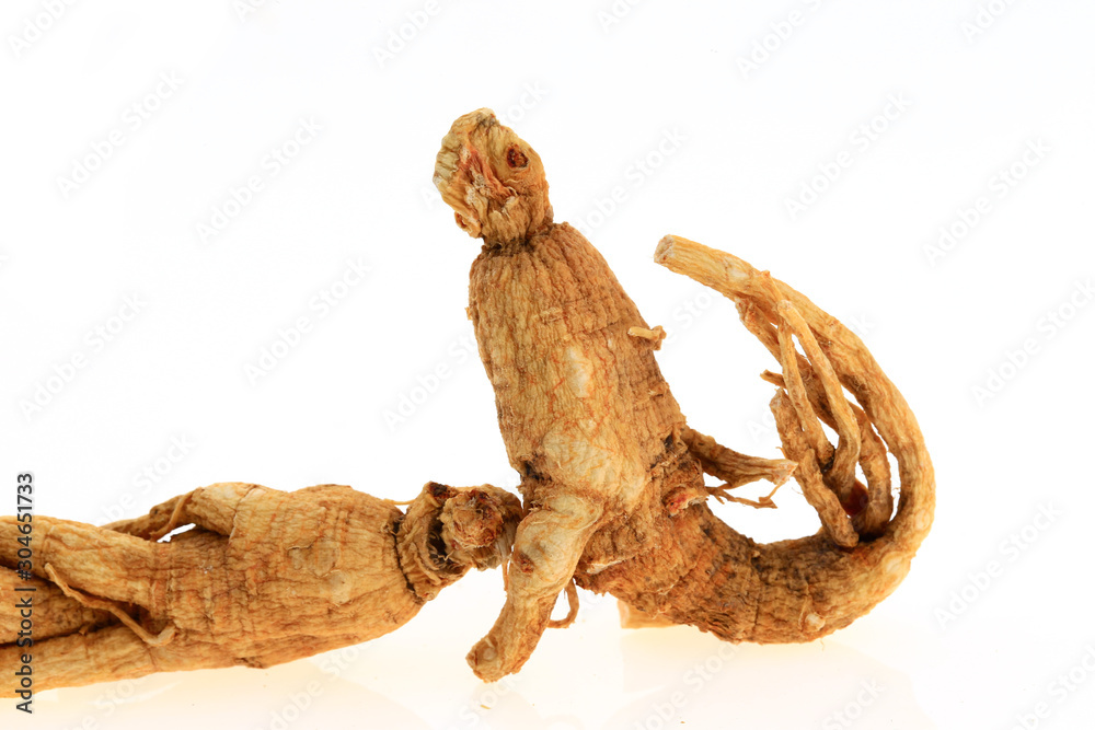 Ginseng on a white background Ginseng on a white background