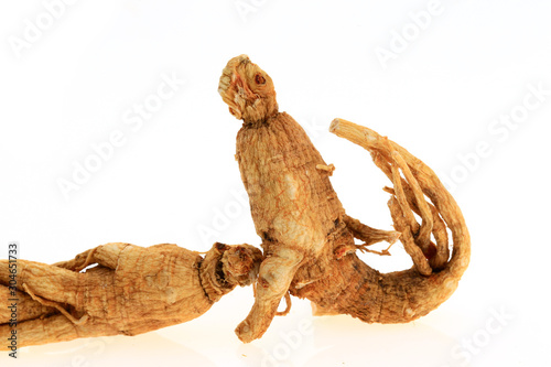 Ginseng on a white background