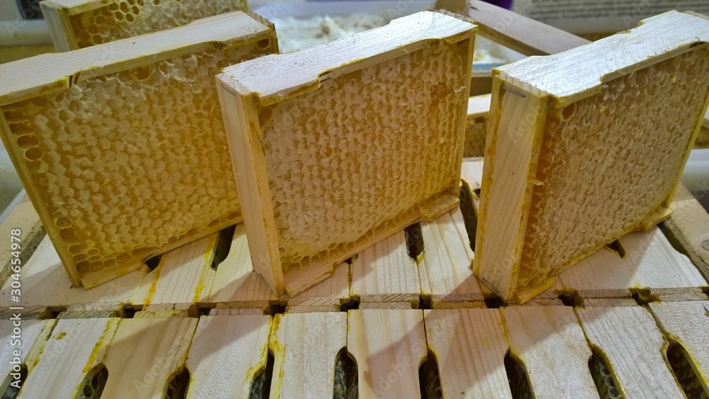 Bee honeycombs and comb capping for sale. Rich harvest of honey and farm beekeeping. Thanksgiving day and natural products concept. Agricultural exhibition and trade fair. Eco food. Bee honeycombs and comb capping for sale. Rich harvest of honey and farm beekeeping. Thanksgiving day and natural products concept. Agricultural exhibition and trade fair. Eco food.