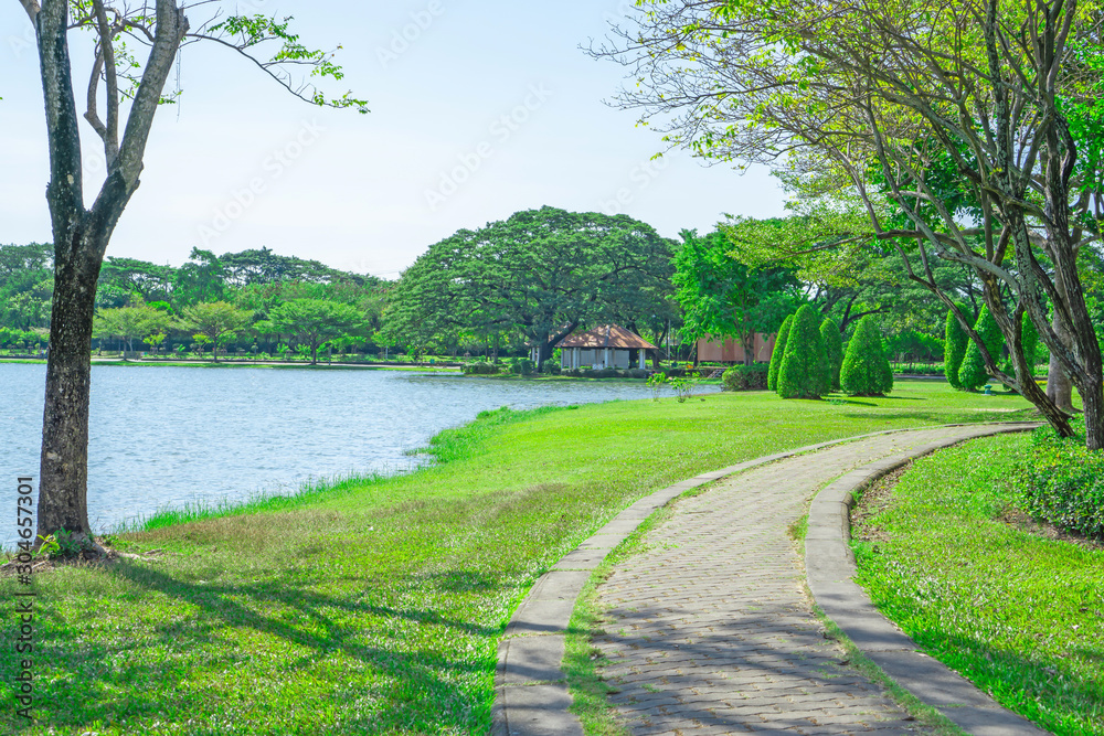 Beautiful scene, good maintenance of garden beside a blue lake, curve concrete  paving walkway under shading and group of trees on background under clear blue sky
